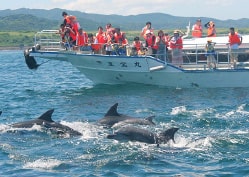 島原半島のアクティビティ